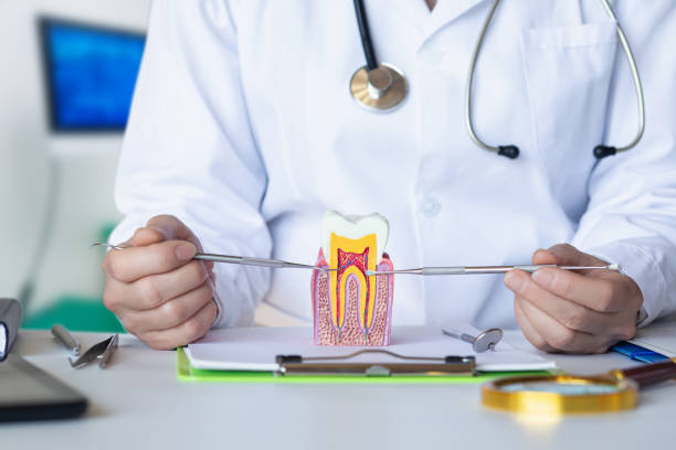 Best Emergency Treatment for Oral Infections in Oak Grove, TN